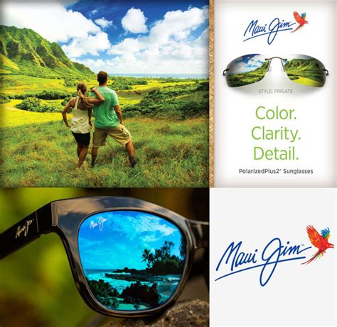 maui jim glasses|charity fundraising strategy.